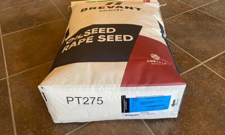 Насіння озимого ріпаку Бревант ПТ 275 (BREVANT PT275) в Тернополе - фото № 2