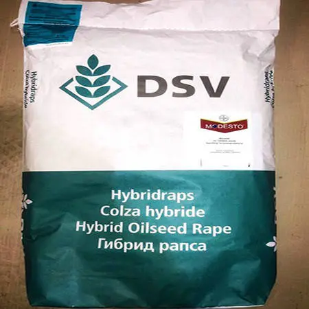 Принц - насіння озимого ріпаку нового покоління від DSV - фото № 1