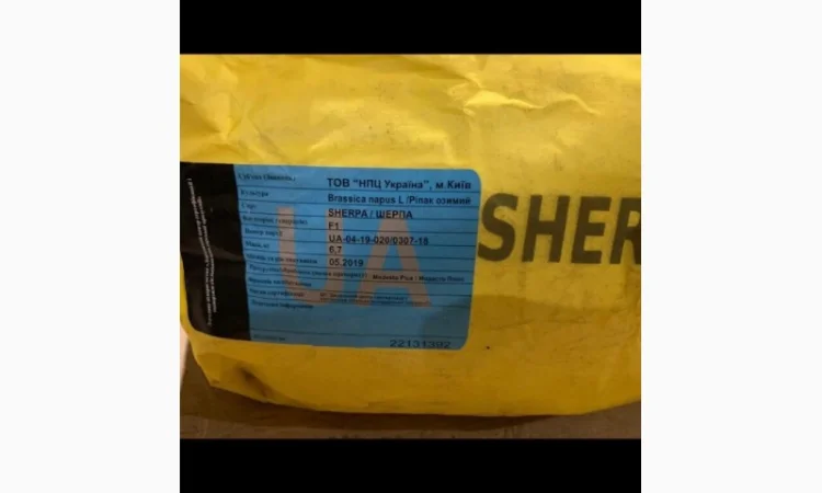 Продаж насіння ріпаку від постачальника, 100 тонн, ціна договірна - фото № 5