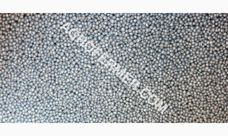 Семена рапса LAMAR с высоким потенциалом урожайности - фото № 1