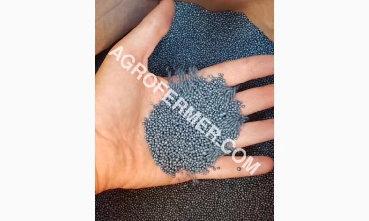 Семена рапса LAMAR с высоким потенциалом урожайности - фото № 2