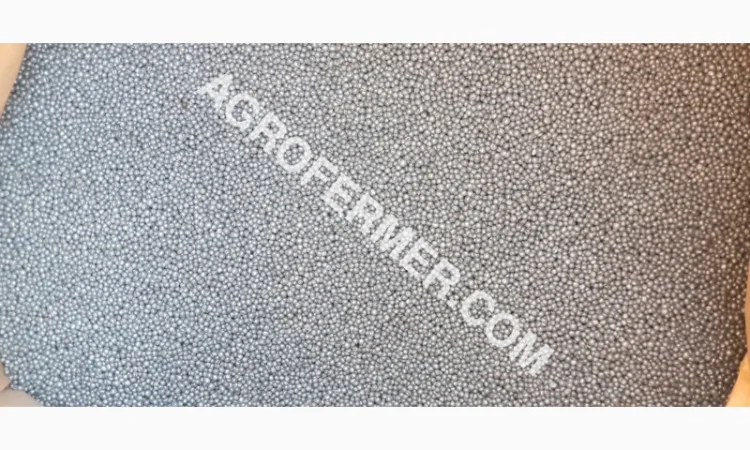 Семена озимого рапса CHILKAT - фото № 2