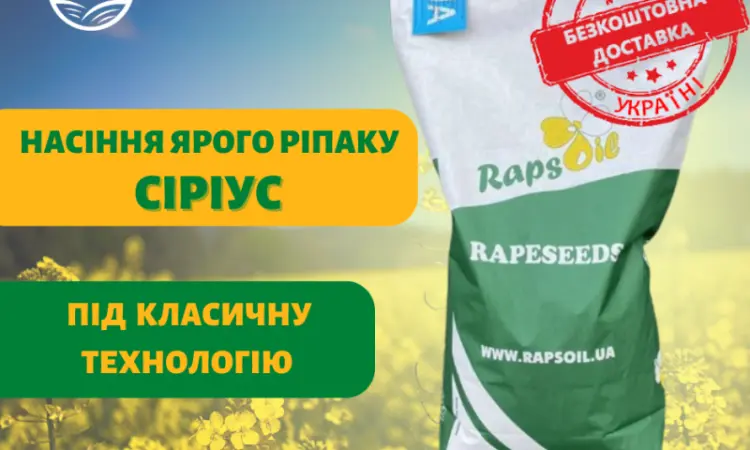 Насіння Ярого ріпаку гібрид Сіріус (БЕЗ ГМО!) в Києві - фото № 1