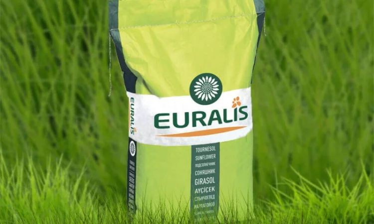 Насіння озимого ріпаку ЄС Гідромель від Euralis - фото № 1