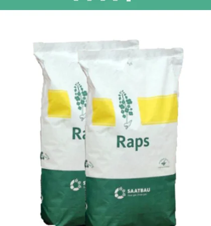 Продажа семян озимого рапса Граф от производителя Заатбау - фото № 1