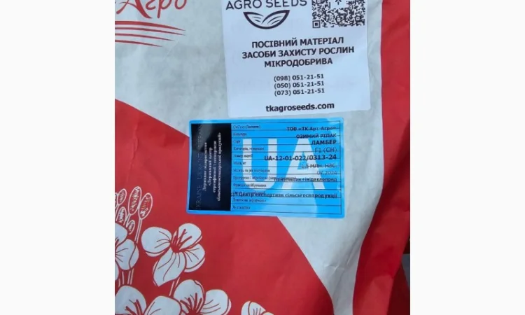 Насіння озимого ріпаку гібрид Ламбер (Classic) в продажу - фото № 2