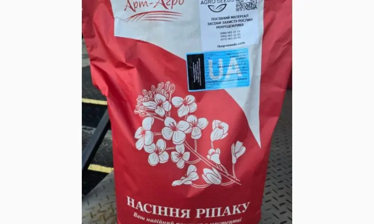 Насіння озимого ріпаку гібрид Ламбер (Classic) у продажу - фото № 3