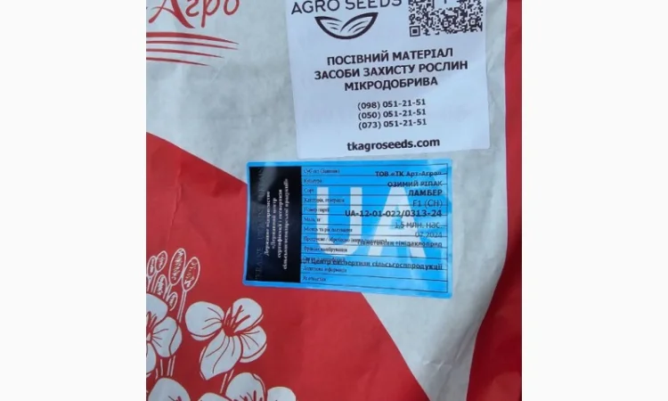 Озимий ріпак Ламбер - високоврожайний сорт - фото № 1