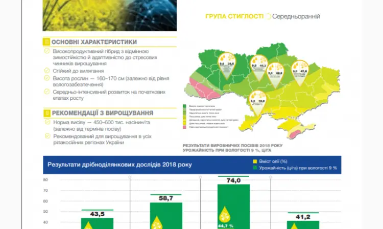 Насіння озимого ріпаку НК Технік від Сингента - фото № 3