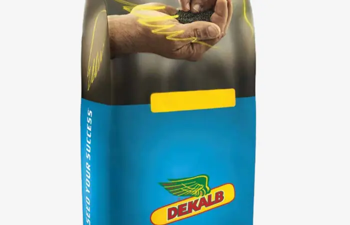 Продаж насіння озимого ріпаку ДК Імпортер "Декалб (Dekalb)" - фото № 2