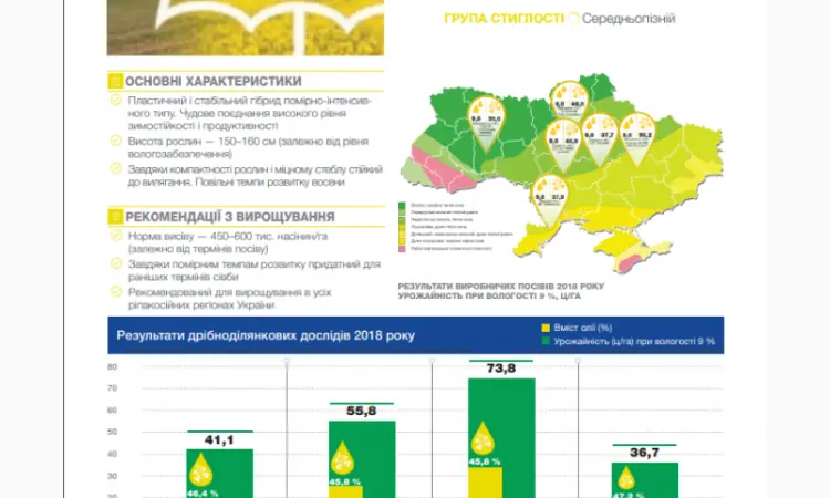 Насіння озимого ріпаку СІ Мартен «Сингента» (Syngenta) - фото № 1