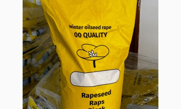 Насіння озимого ріпаку гібрид ТОМ - фото № 3