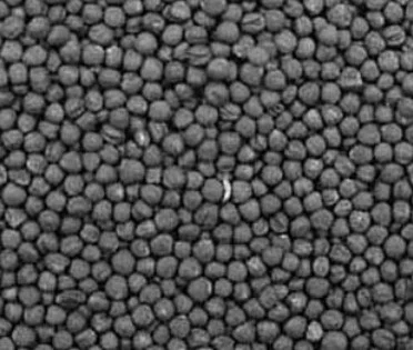 Организация закупает Рапс с элеваторов и хозяйств со всей Украины - фото № 1