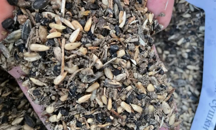 Куплю отходы семечки на постоянной основе любые обьемы. самовывоз - фото № 1