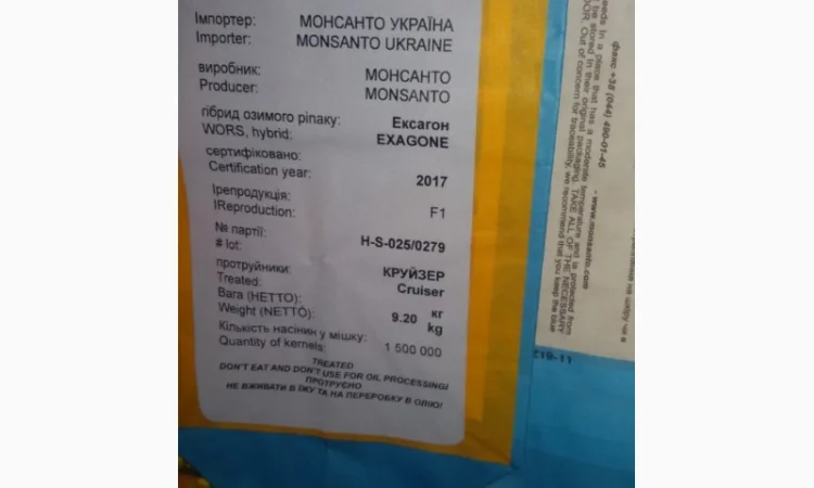 Продам насіння озимого рапсу - фото № 2
