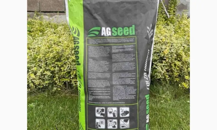 Озимий ріпак AGSEED Аргентина на продаж - фото № 2
