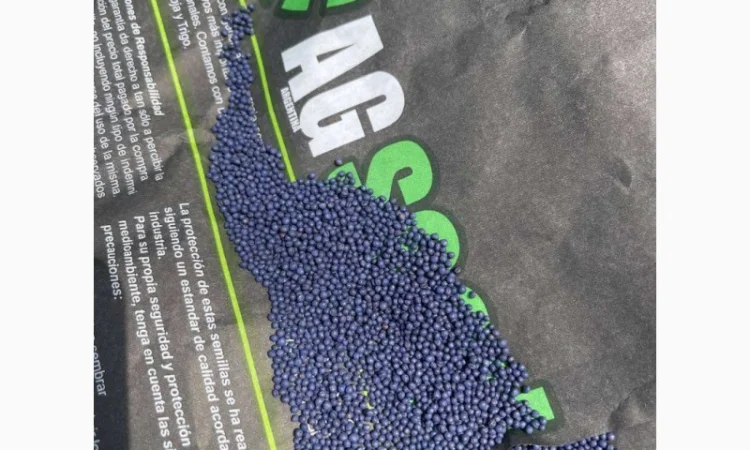 Озимий ріпак AGSEED Аргентина на продаж - фото № 3