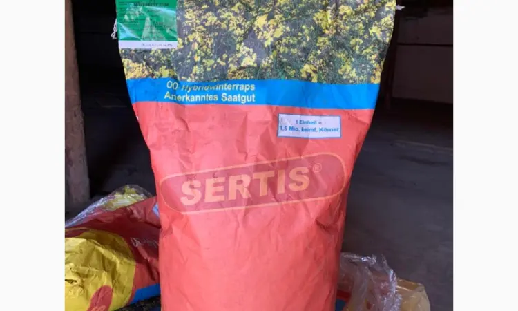 Продам сертифіковане насіння озимого ріпака (Дженіксон) - фото № 1