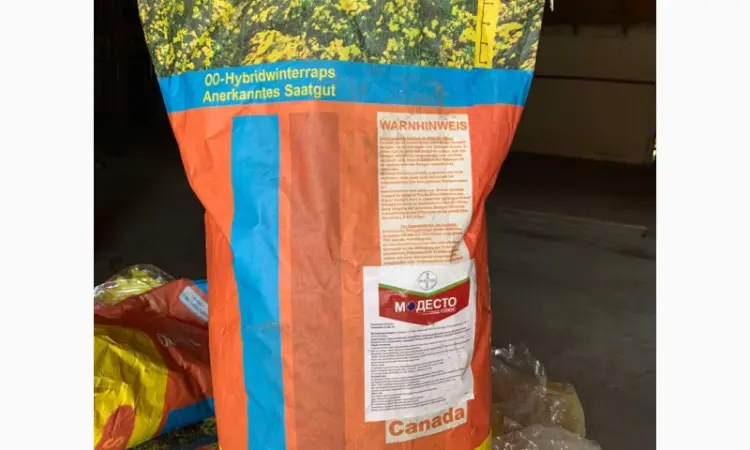 Продам сертифіковане насіння озимого ріпака (Дженіксон) - фото № 2