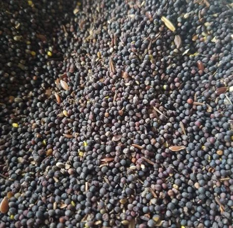 Закупаем отходы рапса - фото № 1