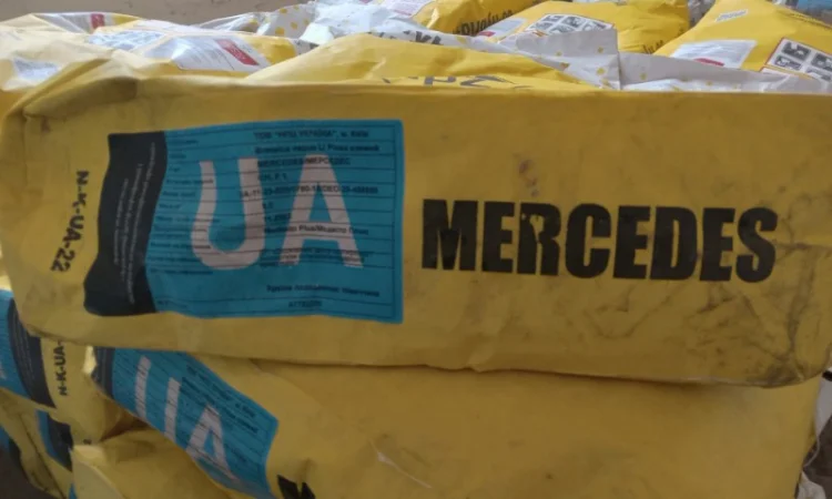 Продаємо насіння озимого ріпаку - фото № 2