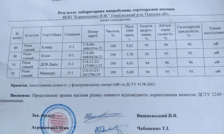 Продаємо насіння озимого ріпаку - фото № 3