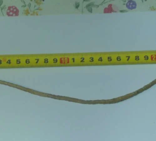 Продам семена озимого рапса LAMAR - фото № 1