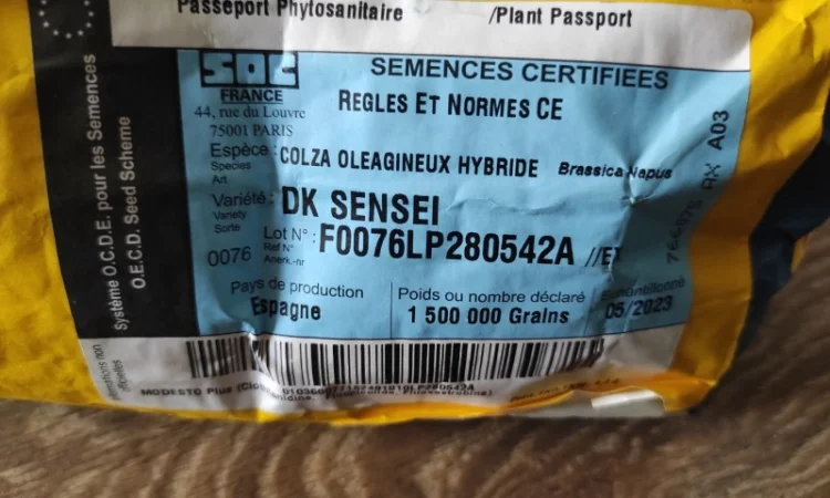 Продам насіння ріпаку - фото № 1