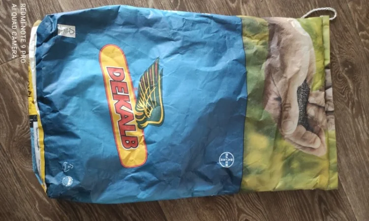 Продам насіння ріпаку - фото № 2