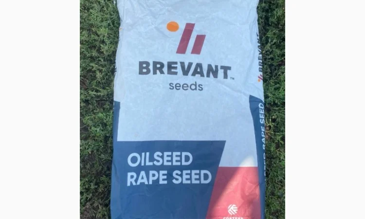 Насіння ріпаку BREVAND PT275 - фото № 1