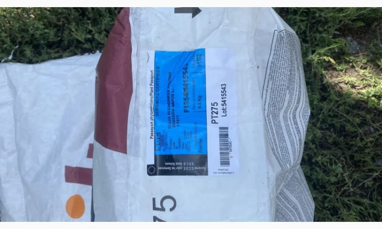 Насіння ріпаку BREVAND PT275 - фото № 4