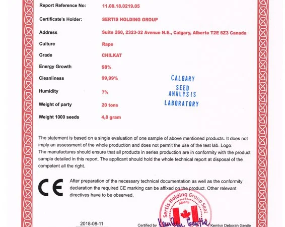 CHILKAT FS-199 – озимый трансгенный рапс - фото № 2