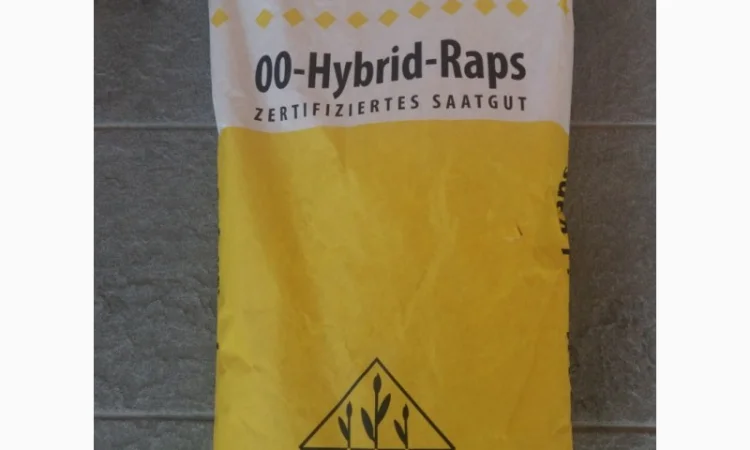 Семена рапса Лембке Висби, Мерседес (Lembke Visbi, Mercedes) - фото № 1