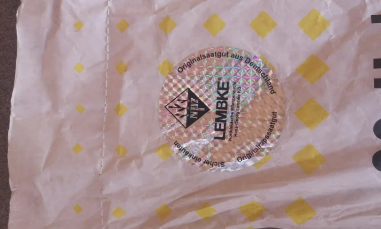 Семена рапса Лембке Висби, Мерседес (Lembke Visbi, Mercedes) - фото № 2