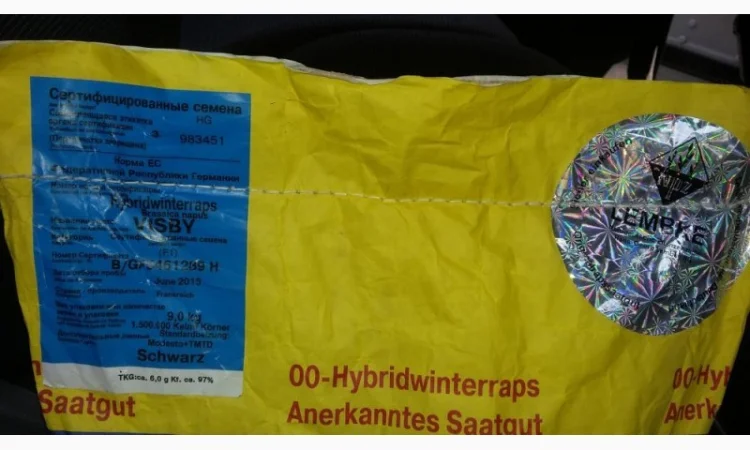 Семена рапса Лембке Висби (Lembke Visby), Германия - фото № 2