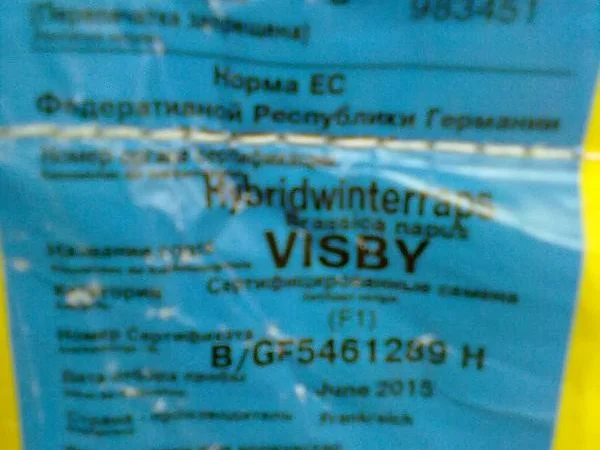 Семена рапса Лембке Висби (Lembke Visby) - фото № 3