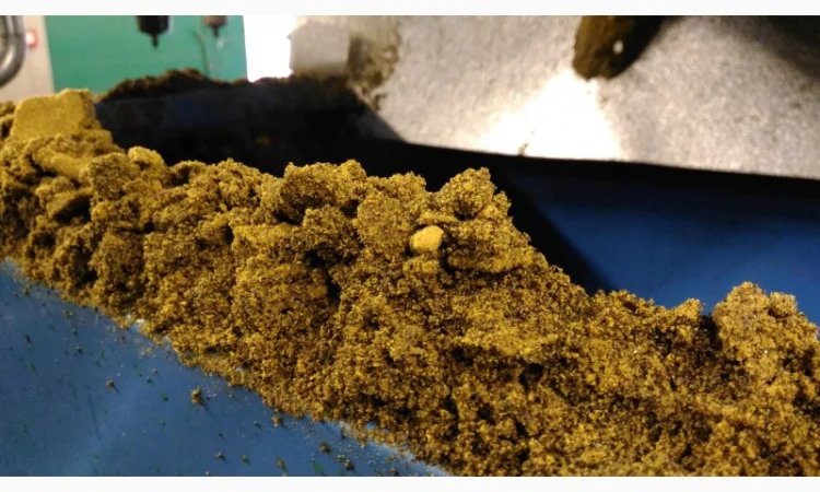 Маслоцех, маслозавод (Прессцех) 8 тонн час, рапс (192 тонны в сутки) - фото № 3