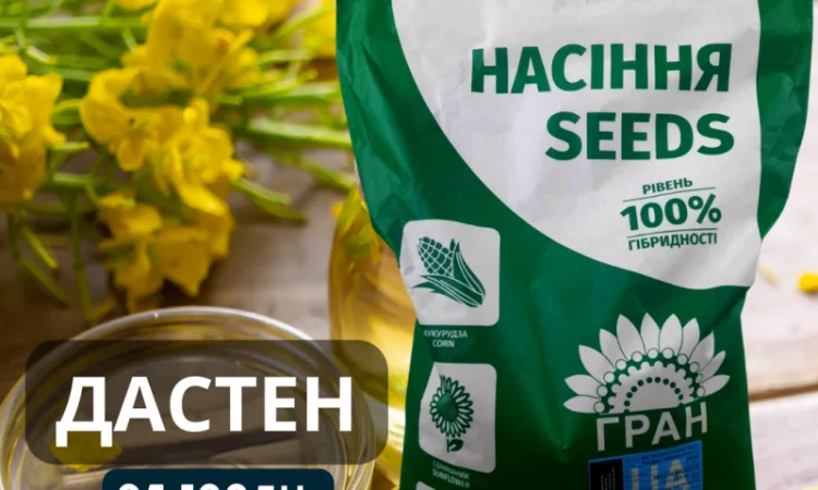 Новинка! Гібрид Ярого ріпака - ДАСТЕН (до 100 дн.) - фото № 1