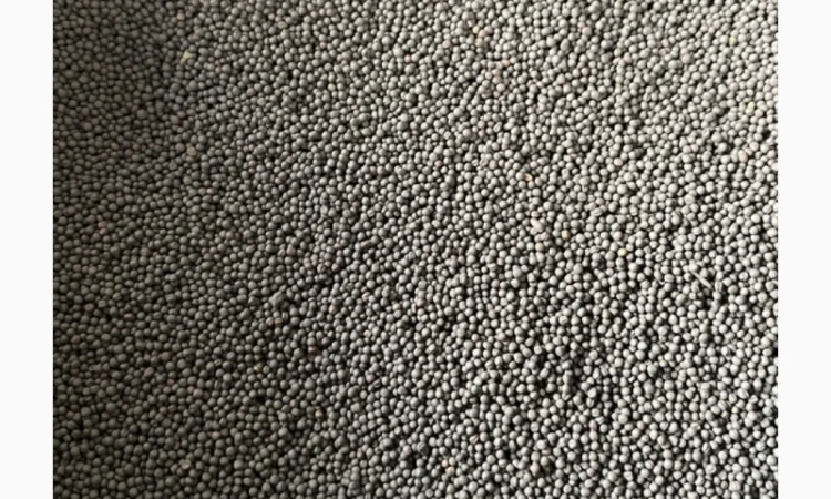 Продам Ріпак ярий під Раундап - фото № 3