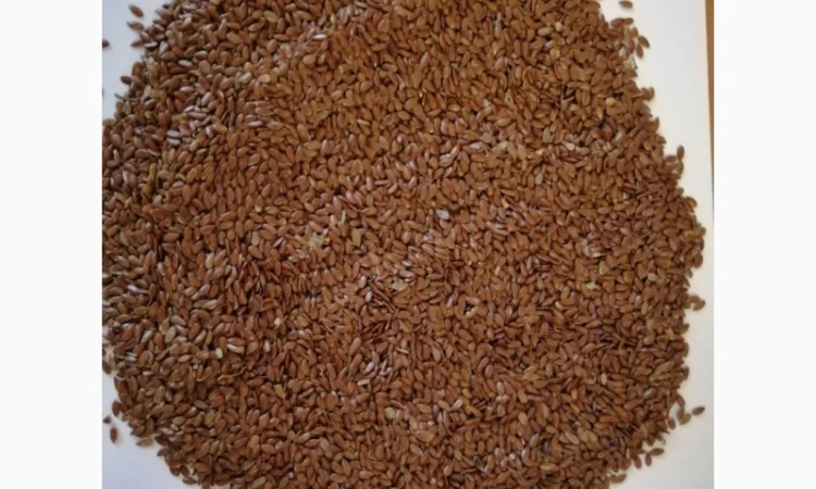 Продается семена коричневого льна сорт "Версаль" - фото № 1
