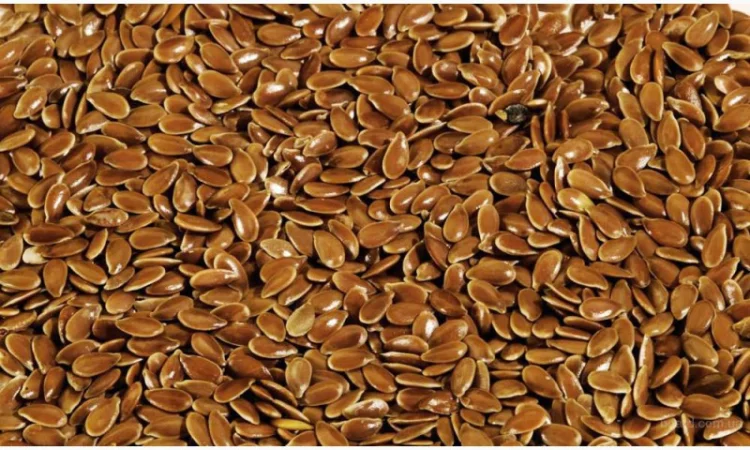 Закупаем лён масличный по высоким ценам - фото № 1