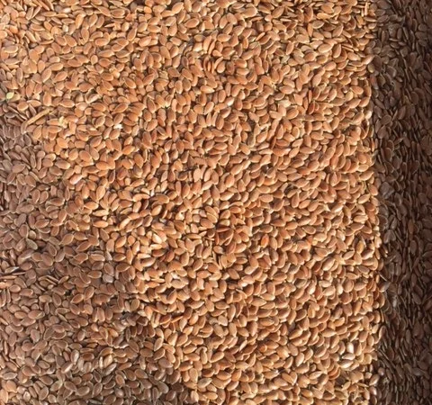 Закупаем Лен масличный и золотой - фото № 1