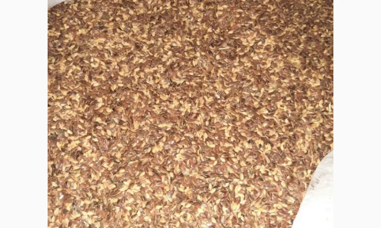 Отходы льна коричневого золотого в наличии - фото № 2