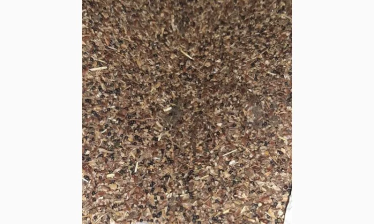 Отходы льна коричневого золотого в наличии - фото № 3