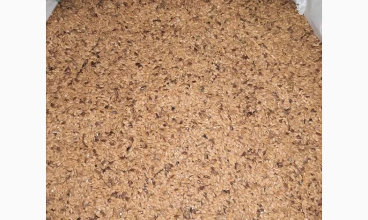 Отходы льна коричневого золотого в наличии - фото № 7