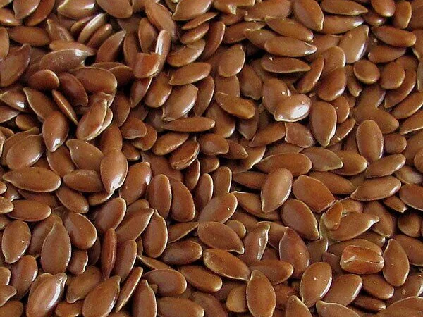 Куплю лен масляничный 20 тонн для производства - фото № 1