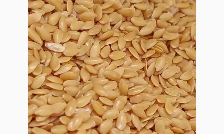 Льон Золотий - фото № 1