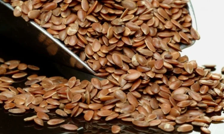 Продам льон олійний (очищений) - фото № 1