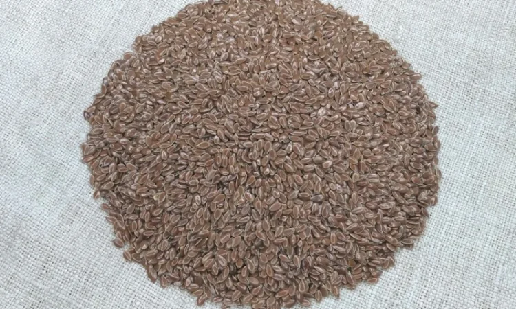 Насіння льону олійного Північна Зірка у продажу - фото № 1