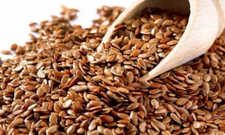 Закупаем лен на постоянной основе - фото № 1